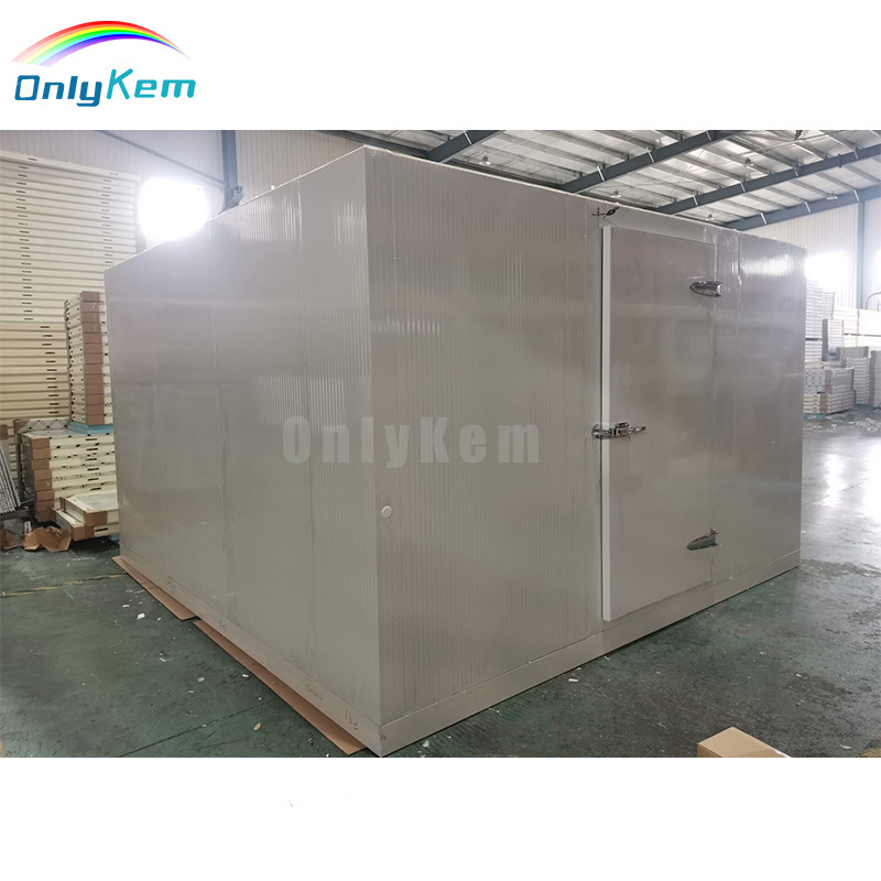 Walk in Cold Room Small Solar Powered Cold Storage Freezer Room