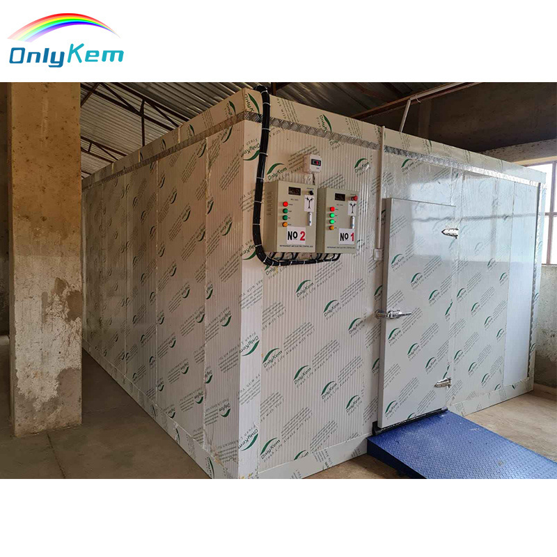 Customized large capacity cold storage room with hinge/sliding door