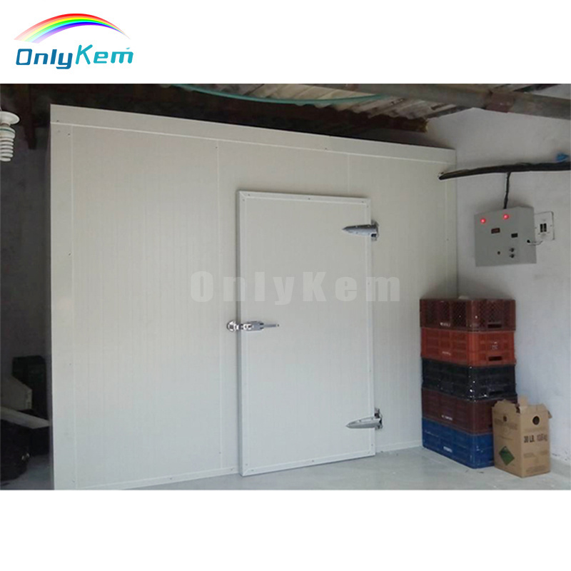 OnlyKem Walk in Freezer Chiller Room Refrigeration Storage Cold Room for Fish