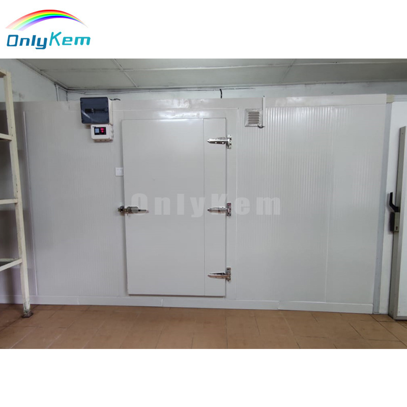 Walk in Cold Room Small Solar Powered Cold Storage Freezer Room