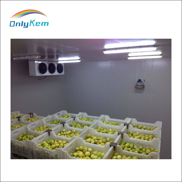 Cold Storage Project Industrial Refrigerator for Fruits/ Cold Room for Fruit