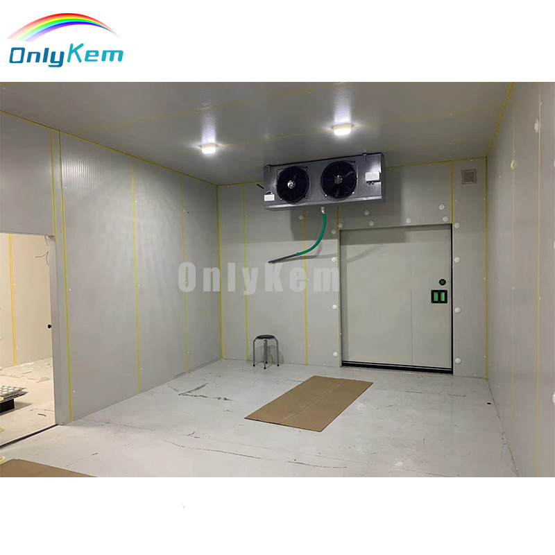 Fish Refrigeration Chamber Walk in Freezer Cool Room Cold Storage Room