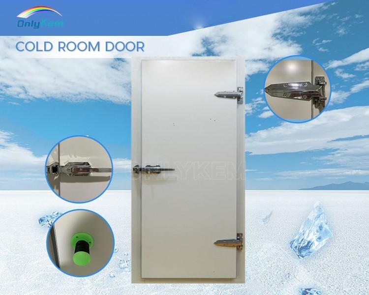 Service Door Cold Storage Door Hinged Door for Cold Room