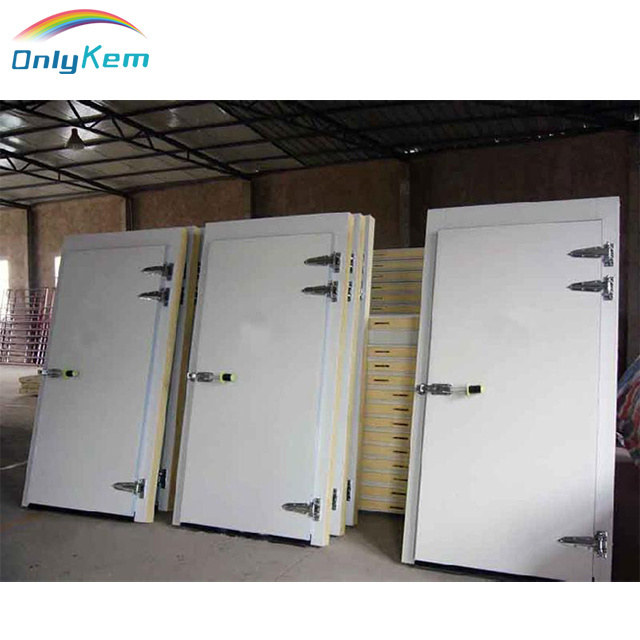 Service Door Cold Storage Door Hinged Door for Cold Room