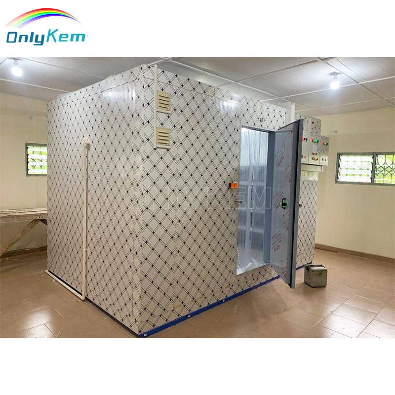 25 Square Meters Walk in  Freezer Solar Power Cold Room Cold Storage