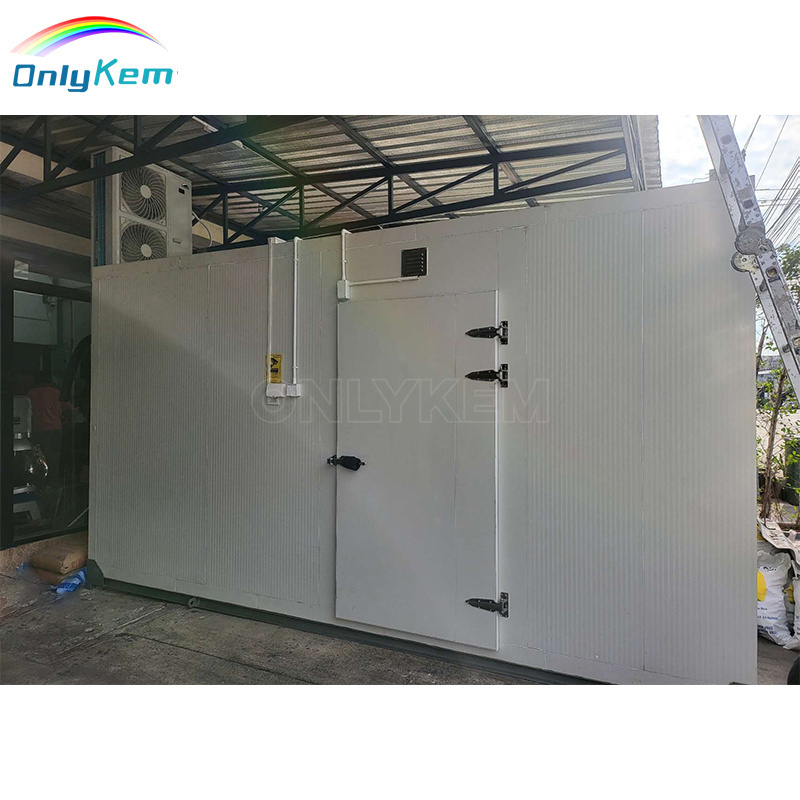 Walk-In Chamber Industrial Refrigeration Cold Storage Freezer Cold Room Price