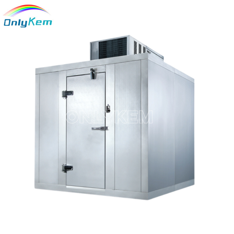 10*8*8ft Cold room Walk in Chiller Walk-in Cooler Door in USA