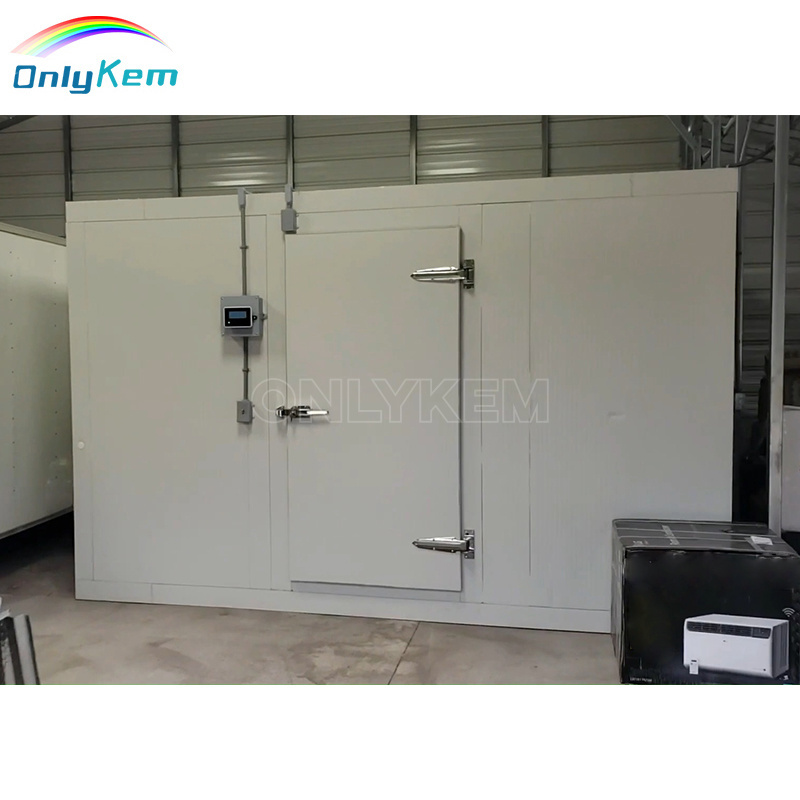 10*8*8ft Cold room Walk in Chiller Walk-in Cooler Door in USA