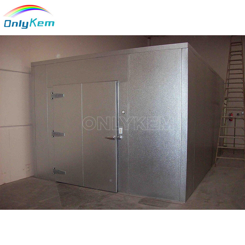 10*8*8ft Cold room Walk in Chiller Walk-in Cooler Door in USA