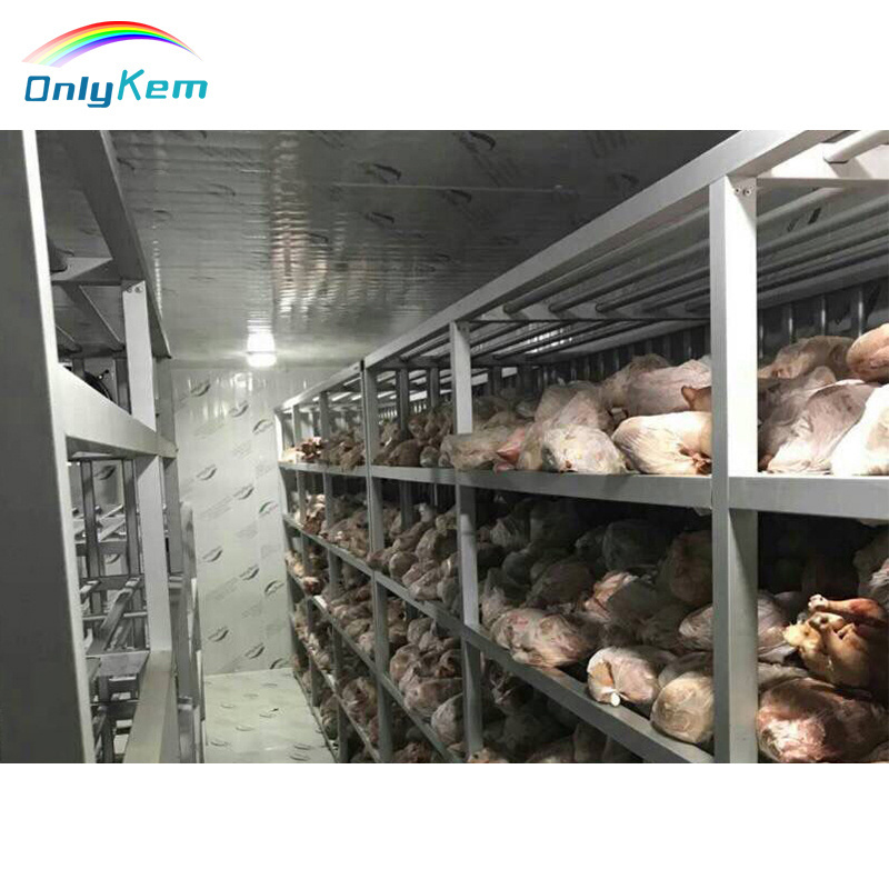 Customized large capacity cold storage room with hinge/sliding door