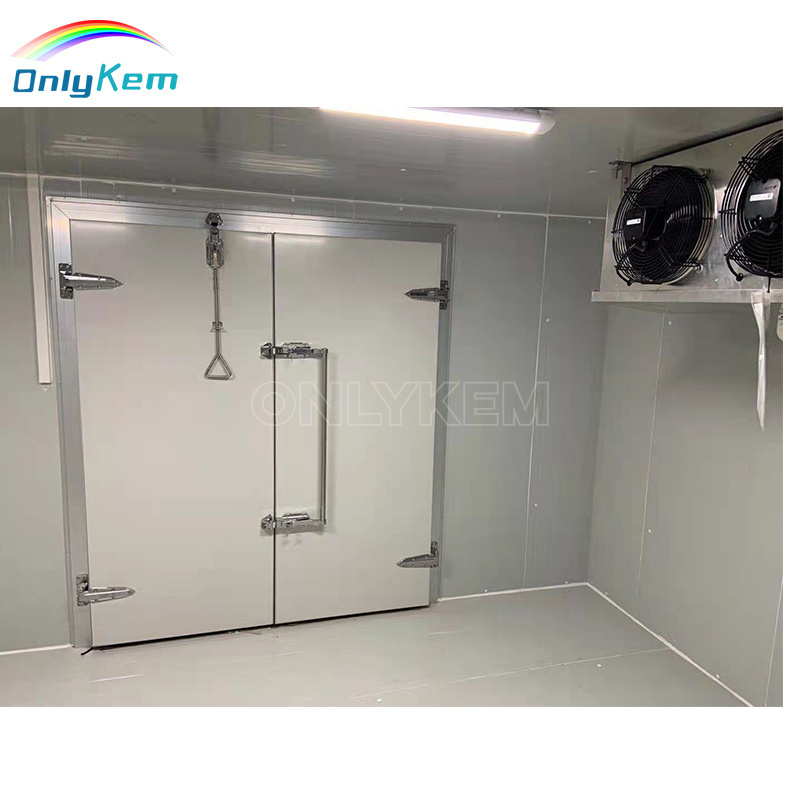 Insulated Aluminum Frame Replaced Door for Cold/Cooler/Chiller/Freezer Room