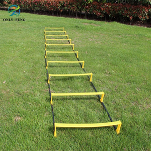 Adjustable Multifunction soccer training speed agility ladder best products for import