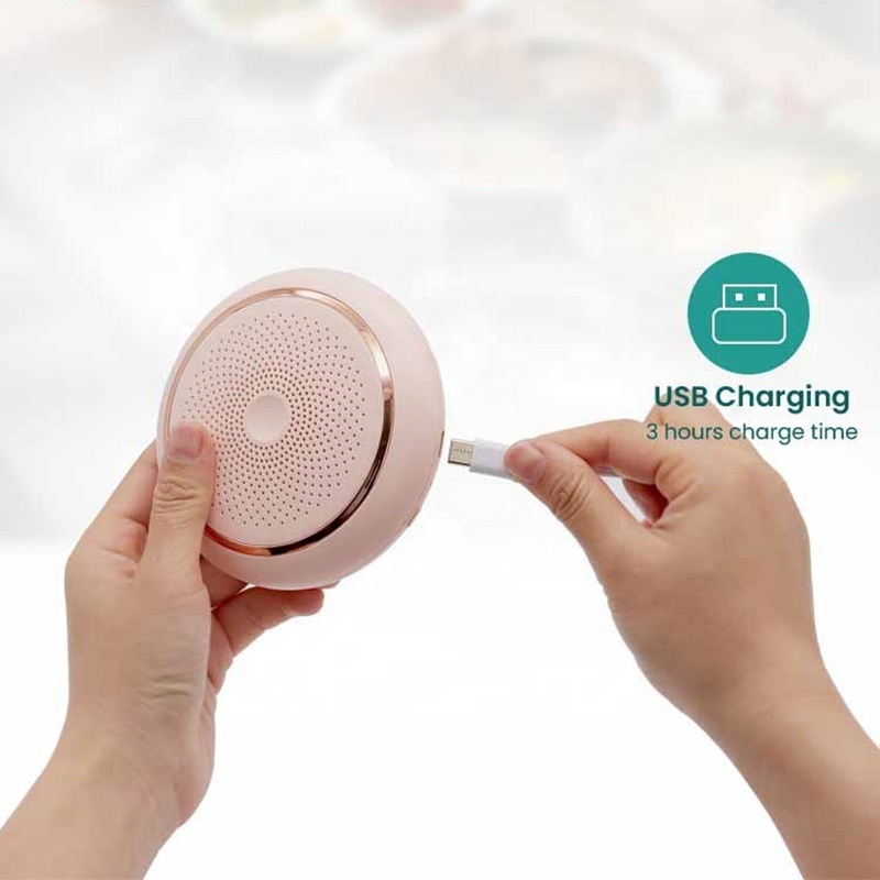 New  Design Portable Refrigerator Deodorizing Sterilizer Household Kitchen Air Purifier Keeping Fresh Rechargeable Deodorant