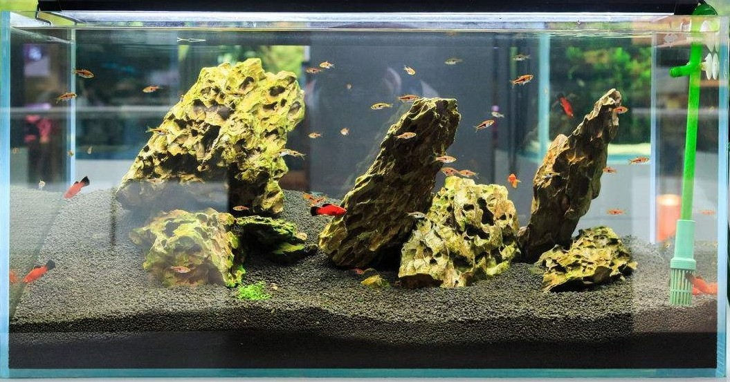 aqua soil aquarium plant substrate