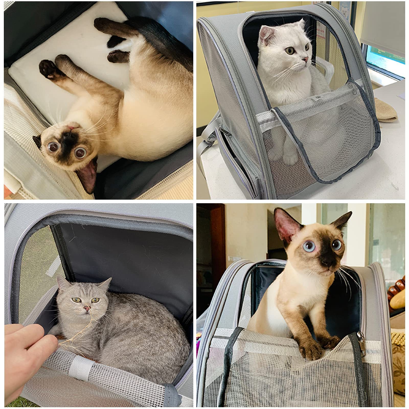 Breathable Small Dog Cat Carrying Bag Airline Approved Pet Carrier Travel Bag Pet Backpack