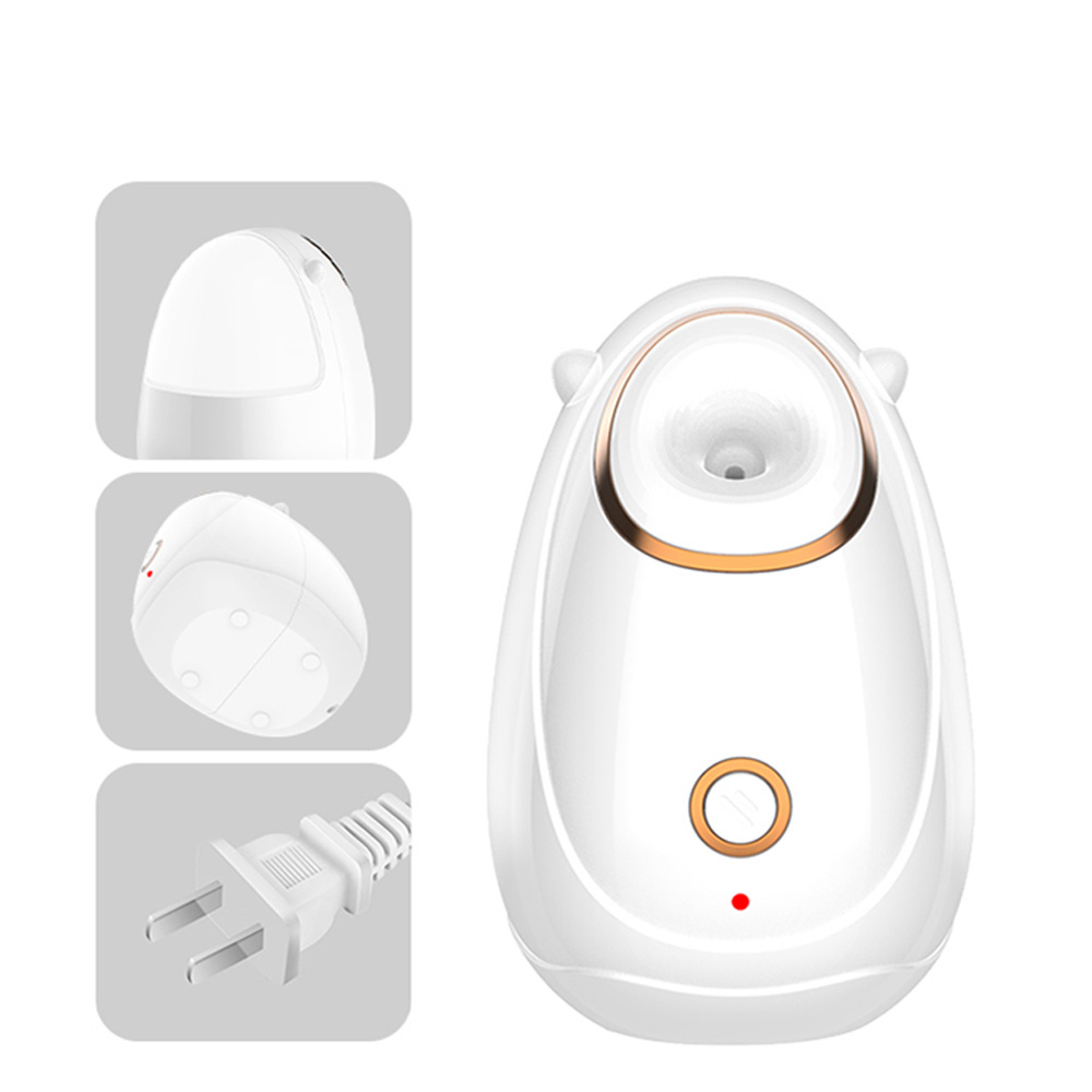 Skincare Hot And Cold Vaporizer Ozone Hot Mist Vaporizer Face Facial Steamer Machine Portable Face Steamer Nano Spray Beauty