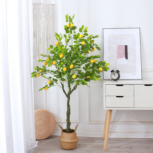 High Quality Simulation Small Potted Tree Bonsai Fruit Tree Fax Lemon Tree