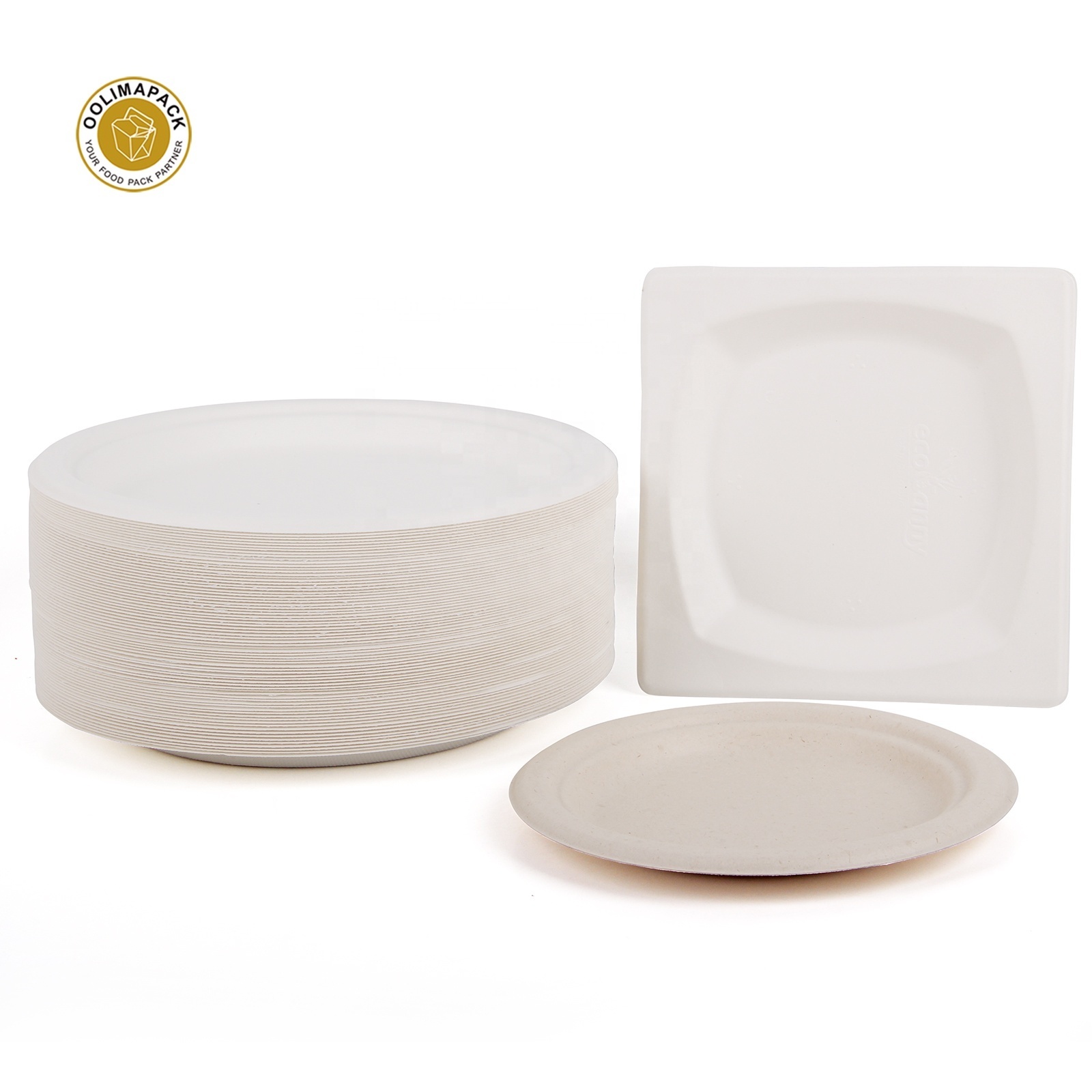 Wholesale Biodegradable Disposable Fruit Salad Food Fancy Tray Plate Sugarcane Bagasse With Lid