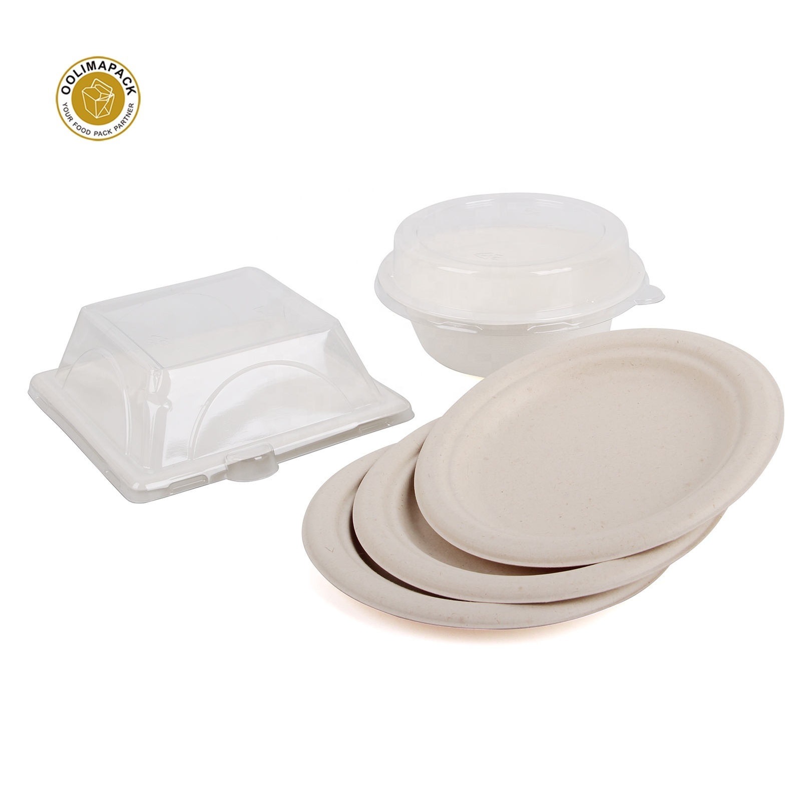 Wholesale Biodegradable Disposable Fruit Salad Food Fancy Tray Plate Sugarcane Bagasse With Lid