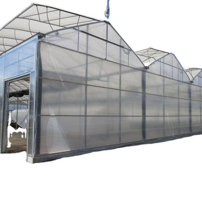 ONE ONE turnkey multi span film green house greenhouse structure commercial used greenhouse frames for sale