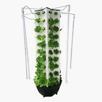 Home Aeroponics Systems