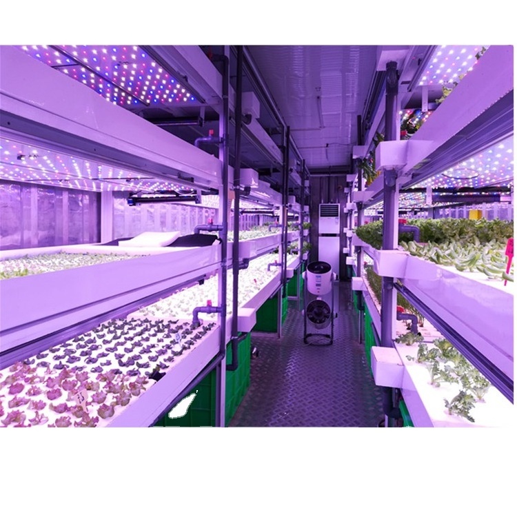 Turnkey Solution Smart Control 40' Container Mobile Shipping Grow Room Container Farm