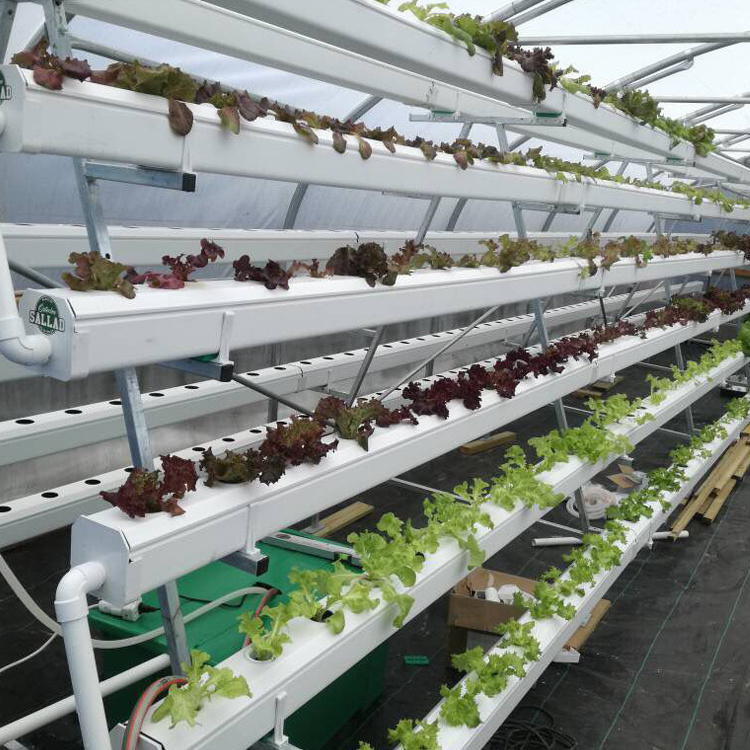 Commercial Vertical Pvc Pipe Complete Hydroponic Lettuce System Flat  Type l Nft Channel for tomato  growing