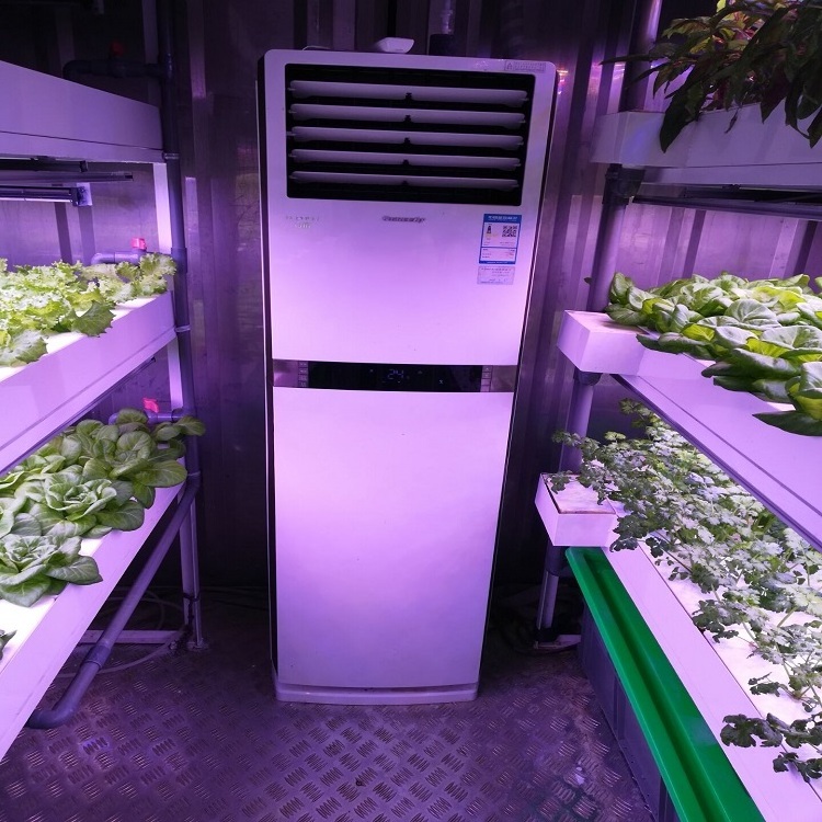 Turnkey Solution Smart Control 40' Container Mobile Shipping Grow Room Container Farm