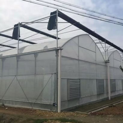 ONE ONE turnkey multi span film green house greenhouse structure commercial used greenhouse frames for sale