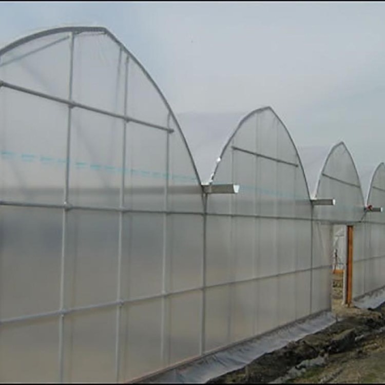 ONE ONE turnkey multi span film green house greenhouse structure commercial used greenhouse frames for sale