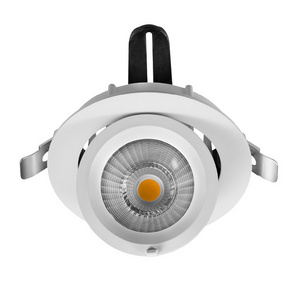 LED RA90 12W COB Lighting Adjustable Recessed Ceiling Down Light Gimbal Light For Shop