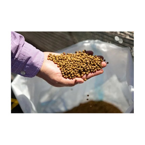 2023 Dried High Protein Fish Meal For Animal Feeds On Hot Sale Fish Food At Best Price