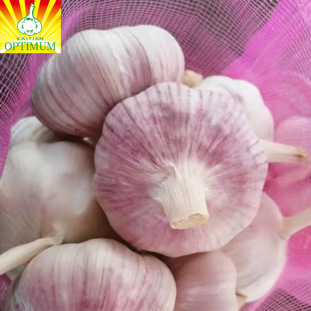 Wholesale import fresh  white good sell red garlic and per ton price for fresh ail new crop fresh garlic ajo in China