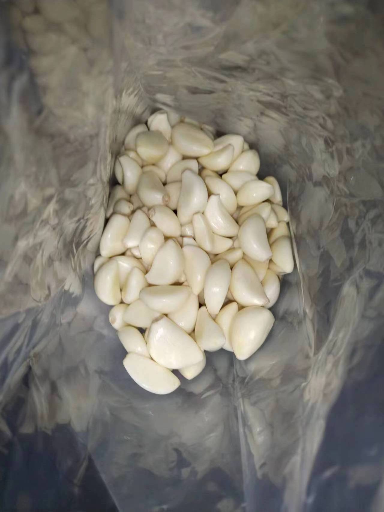 New Chinese wholesale fresh peeled garlic vacuum peeled Garlic in bulk for import/export factory price