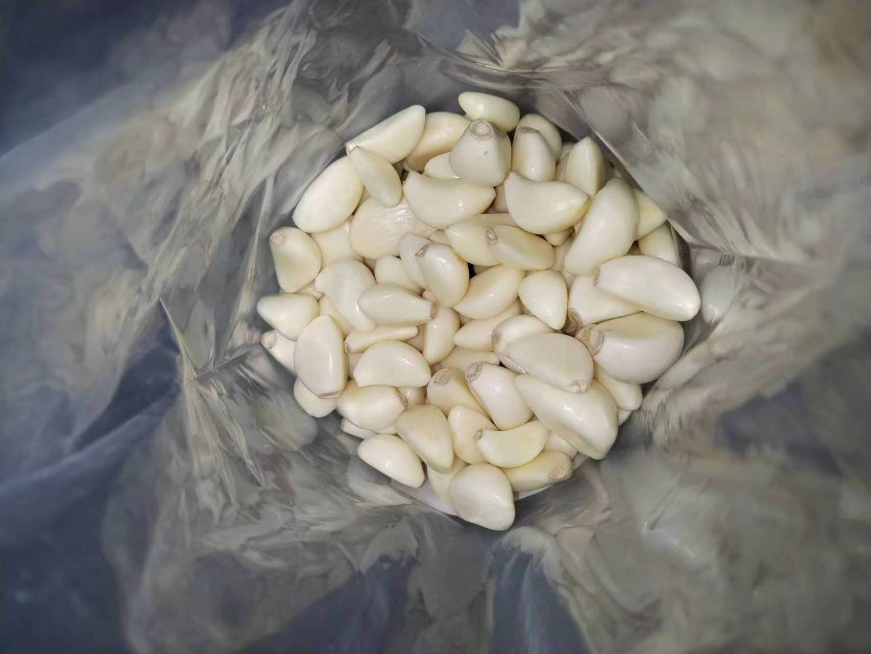 Fresh optimum  peeled garlic marekting price fresh peeled garlic wholesale price