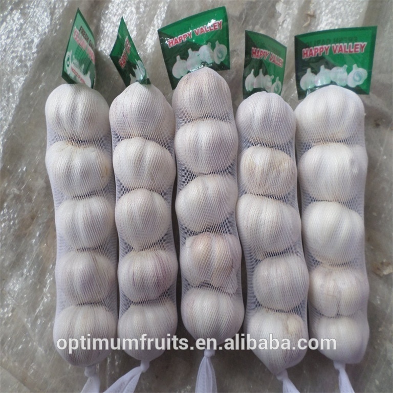 Garlic fresh price from fresh jining garlic/ajo chino china garlic