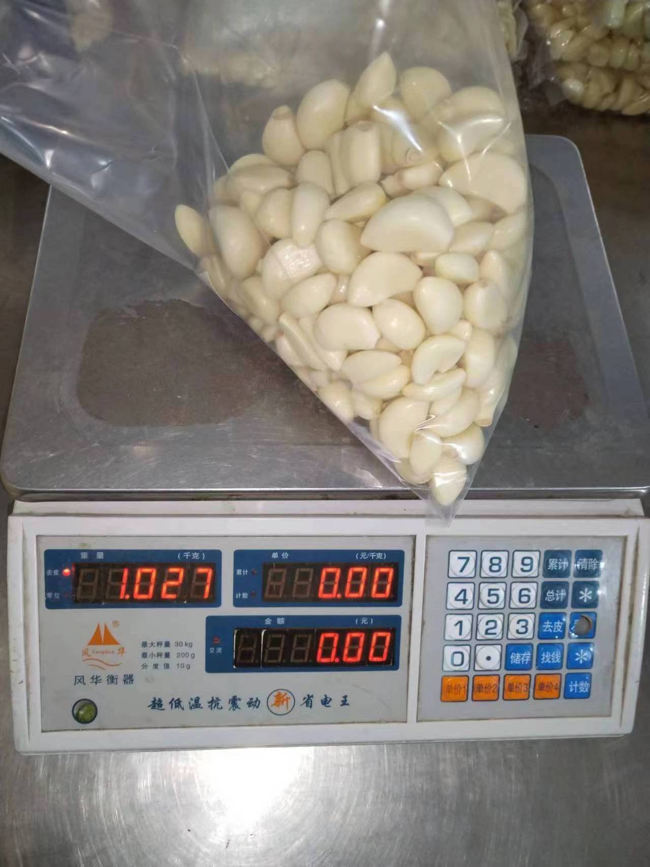 Best quality peeled garlic packing marketing peeled garlic  wholesales