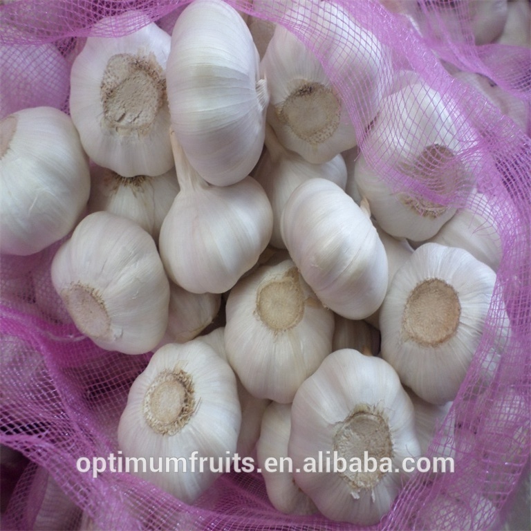 Garlic fresh price from fresh jining garlic/ajo chino china garlic