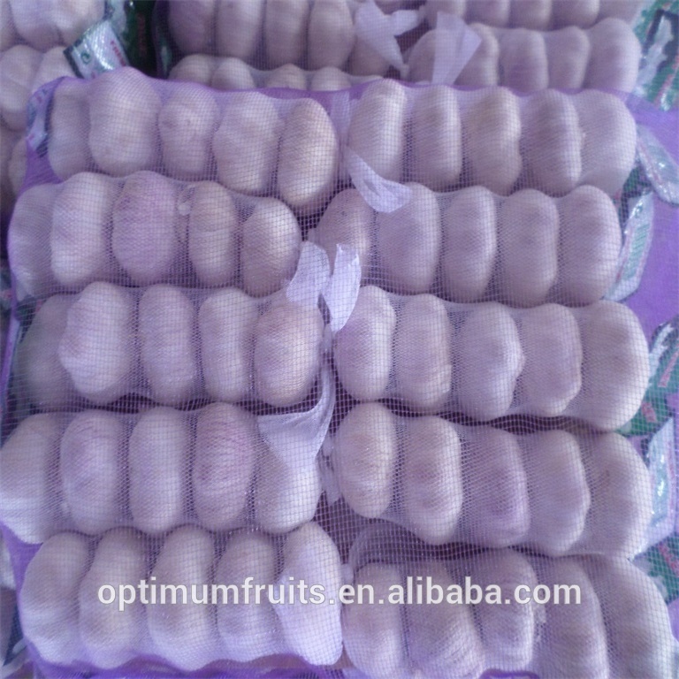 Garlic fresh price from fresh jining garlic/ajo chino china garlic