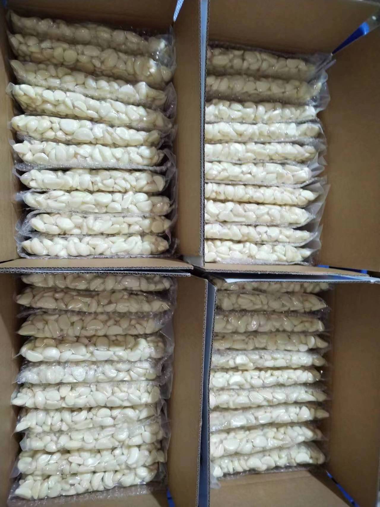 Newest crop fresh peeled garlic /fresh garlic /good quality marketing price for peeled garlic