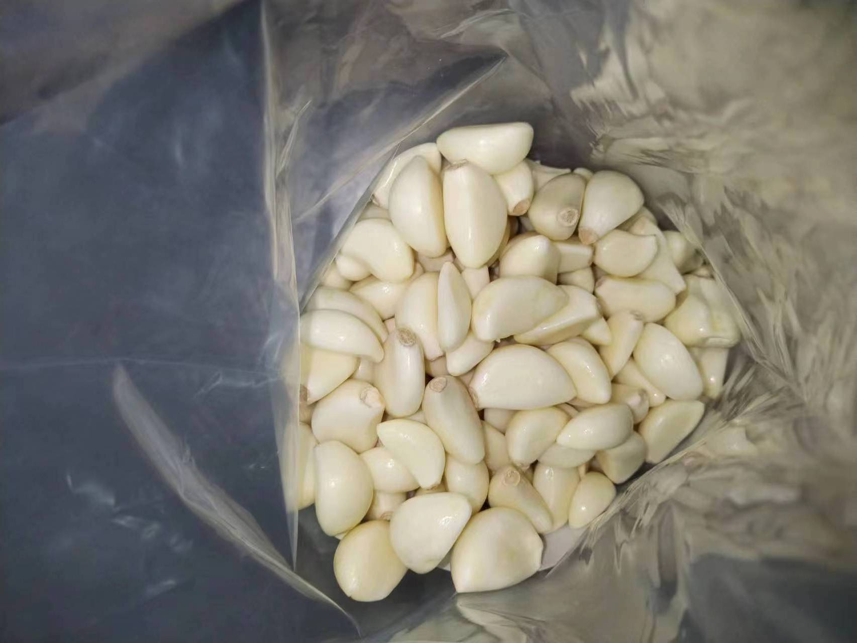 Newest crop fresh peeled garlic /fresh garlic /good quality marketing price for peeled garlic