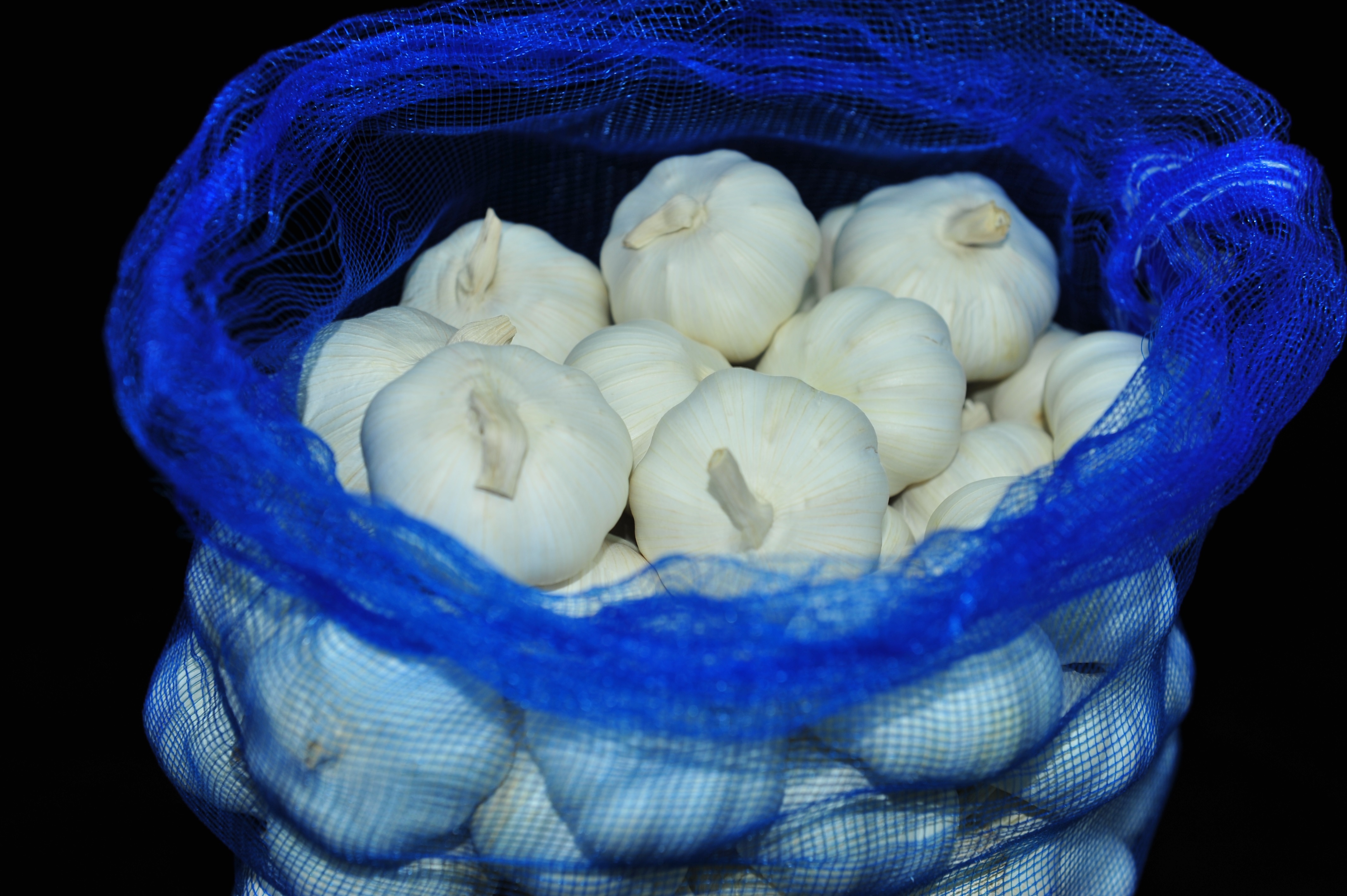 China fresh organic solo garlic hot sale wholesale price