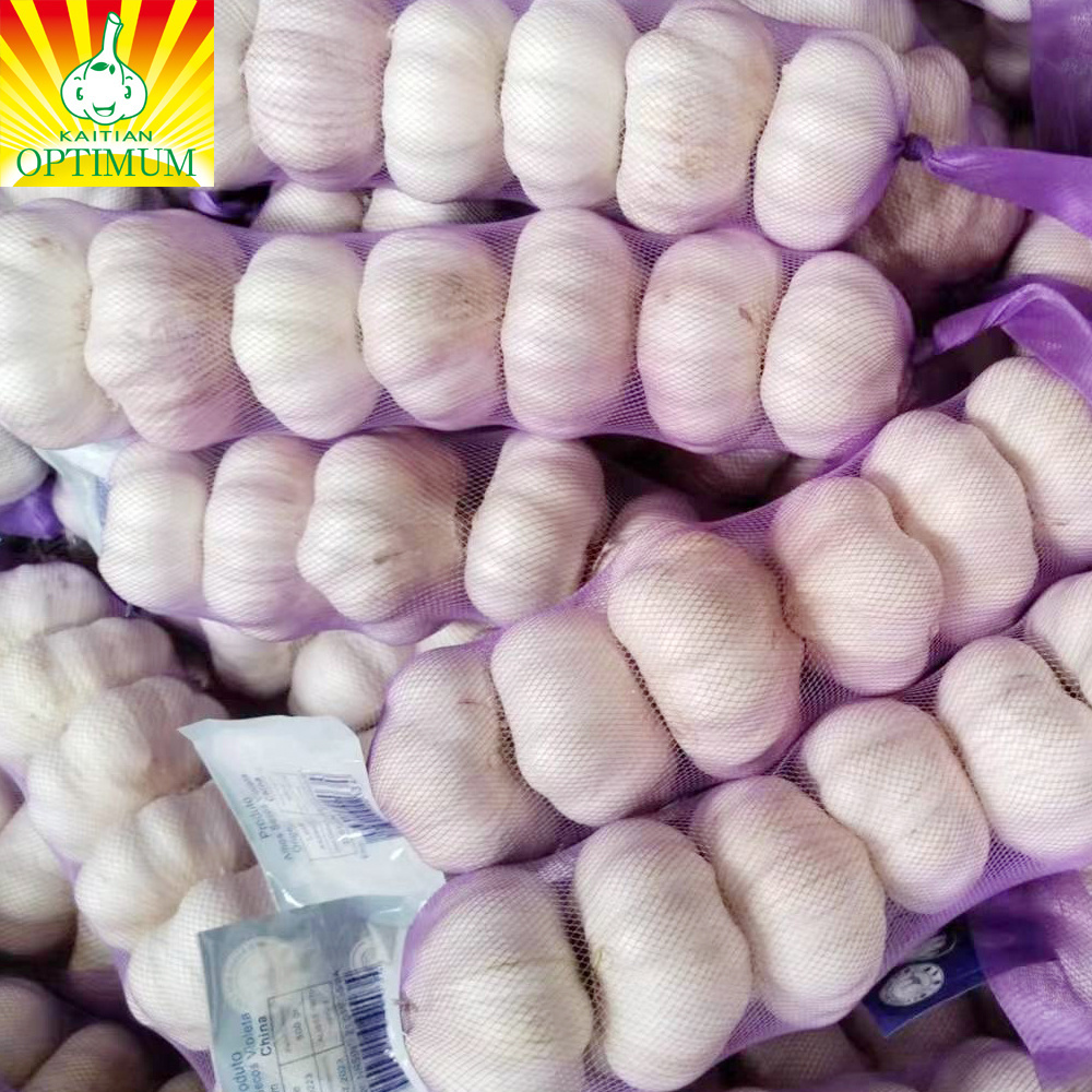 Wholesale import fresh  white good sell red garlic and per ton price for fresh ail new crop fresh garlic ajo in China