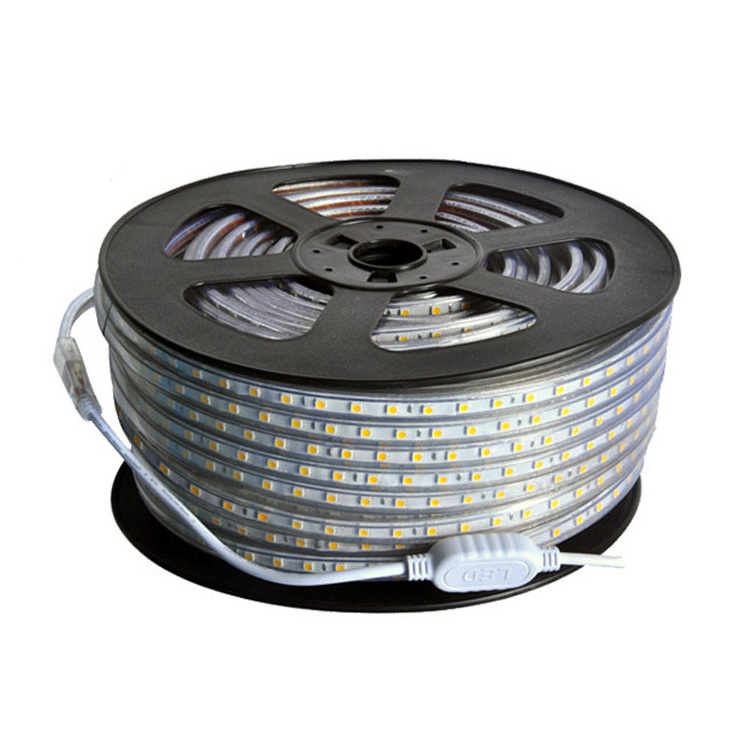 220V High Power SMD 5050 4040 Flexible LED Flat Strip Rope Light Waterproof 100M Reel Outdoor Landscape Lights