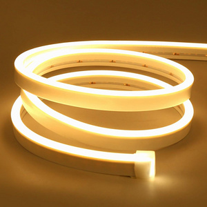 50 100 Meters Neon DC 5V 12V 24V 5mm 6mm 8mm Sided Top View LED Glowing Lights Strip Flex for Neon Sign with Low Price