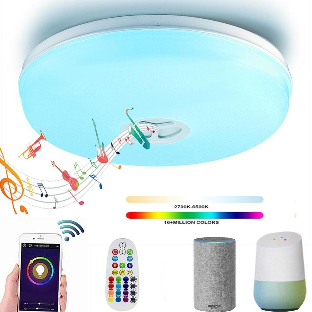 Music Speaker Ceiling Lamp Tuya Smart Voice Control Work for Alexa Google Home Dimmable RGB CCT 24W Smart Wifi LED Ceiling Light