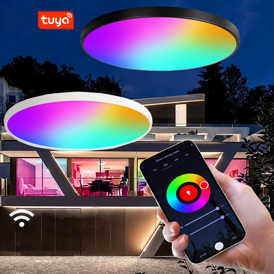 Tuya Wifi Ceiling Lamp Modern Color Changing RGB Flush Mount LED Light Ceiling CCT Dimmable Alexa Google Home Led Ceiling Light