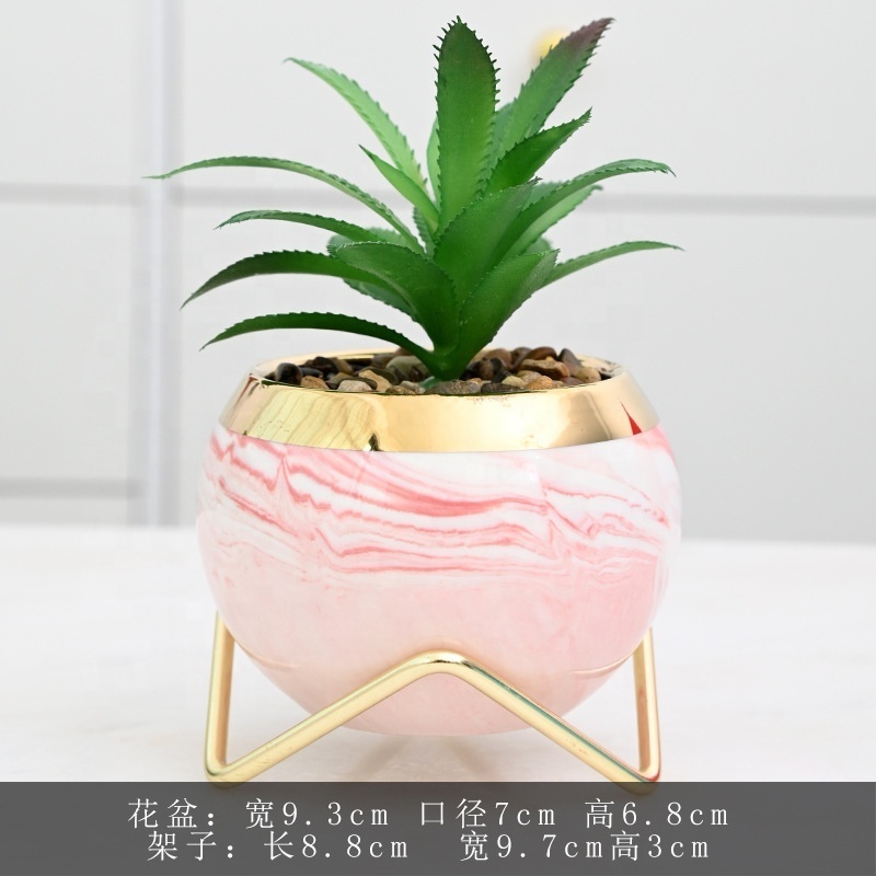 Wholesale Sublimation Blank Coated Custom Succulent Planter Ceramic Flower Planter Pot with iron Tray Desk Flowerpot in Bulk