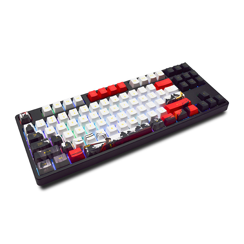 AFLION High Quality 87 Keys Mechanical Keyboard Waterproof Colorful Light Full Anti-Ghost Metal Panel For Pc