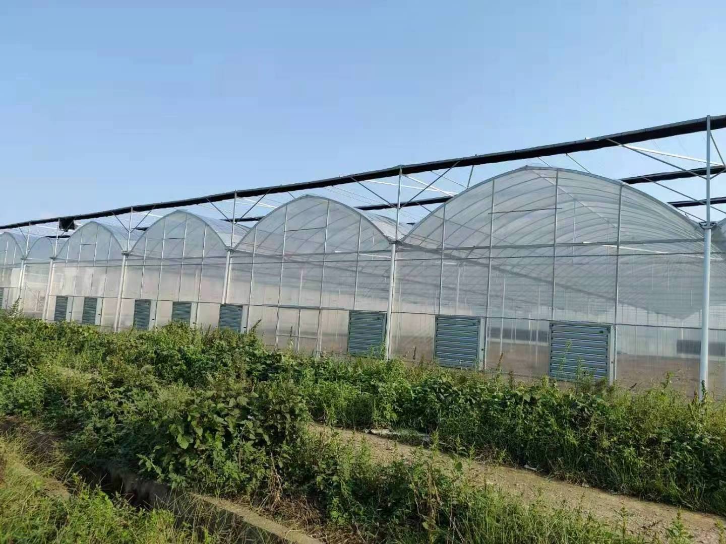 Double Wall And Insulating All Season Solar Greenhouses   Blanket Vegetables Growing